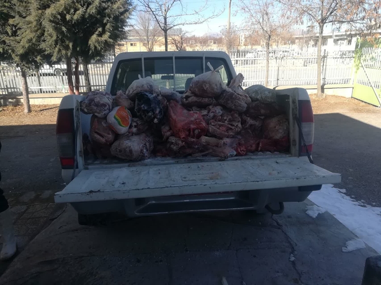 بیش از 160 کیلوگرم فراورده های خام دامی غیر قابل مصرف در شهرستان بروجن ضبط و معدوم گردید. 